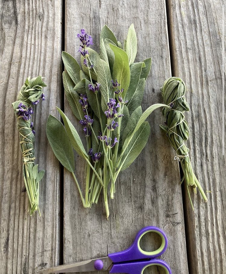 Sage Bundle
