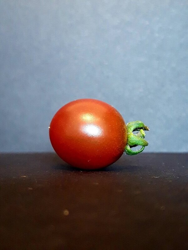 Rosella Cherry