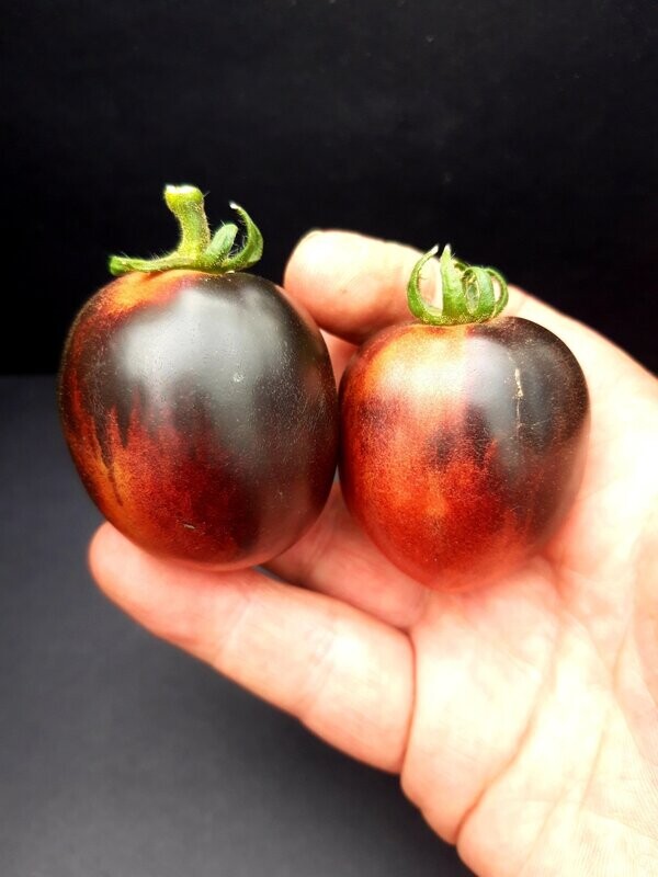 Mocha's Cherry Round