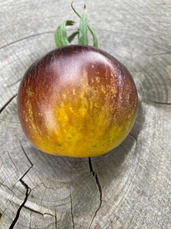 Prune D' Antan