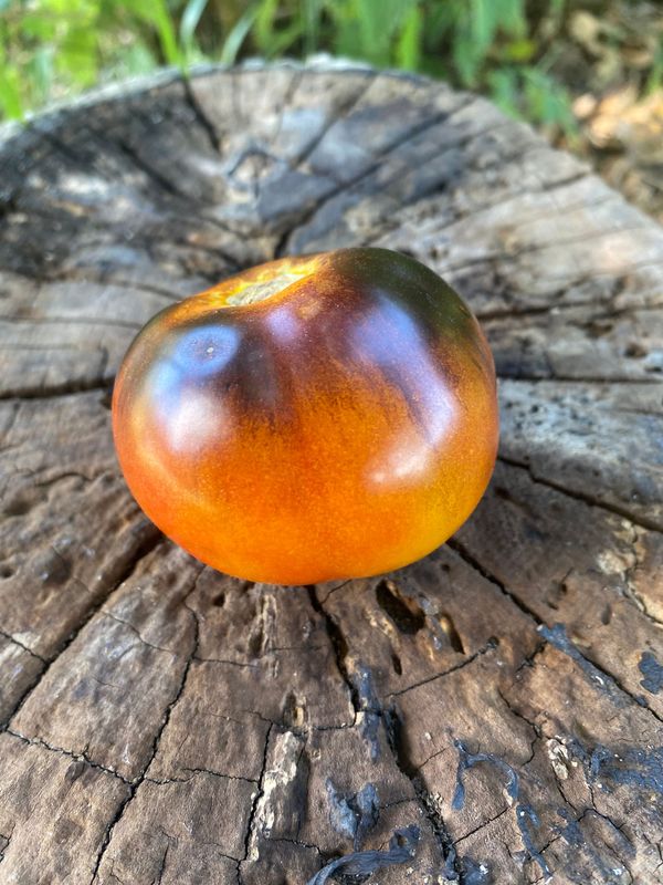 CLEMENTINE BLUE