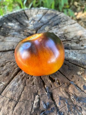 CLEMENTINE BLUE