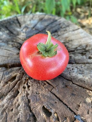 ALLIES JULY ALLIES JULY