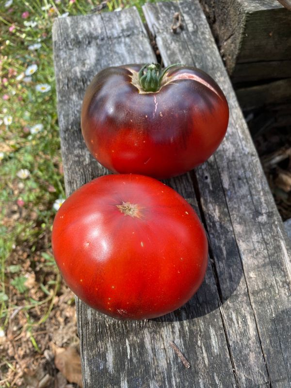 MARMANDE BLUE
