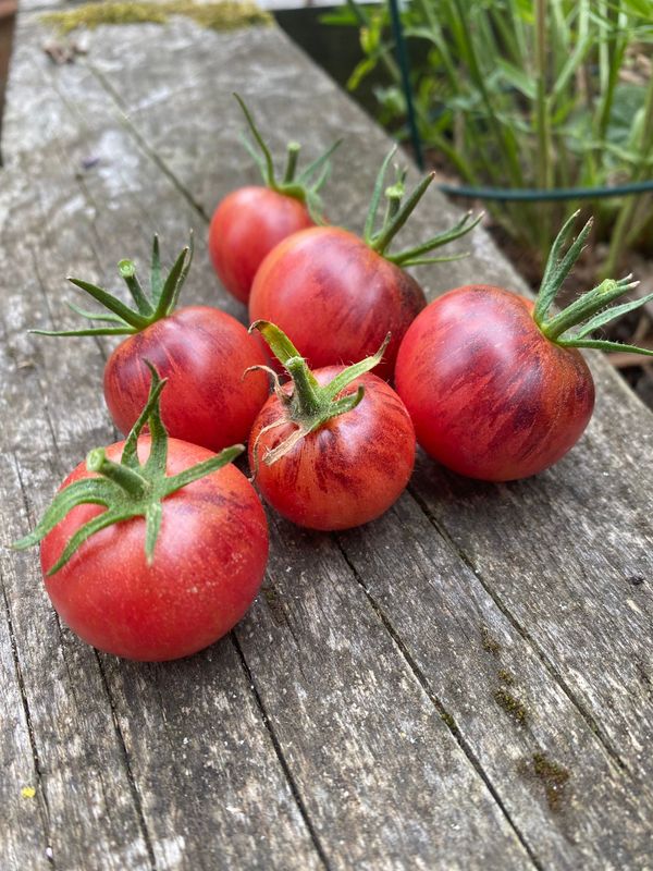 RASPBERRY BURST