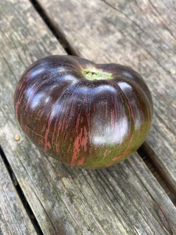 REBEL STARFIGHTER PRIME BEEFSTEAK