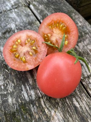 SHIMOFURI (Cascading)