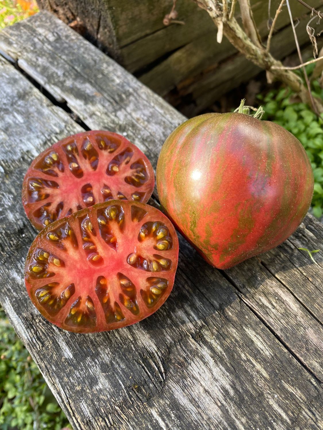 Purple Heart Throb Purple Heart Throb