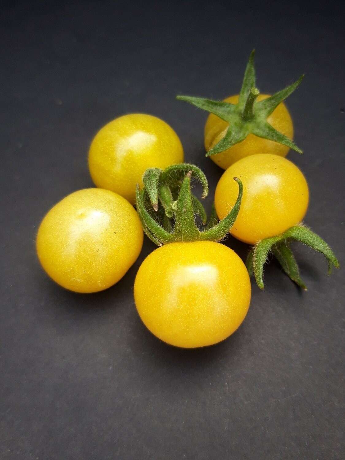 Champagne Cherry