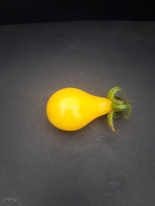 Beam's Yellow Pear