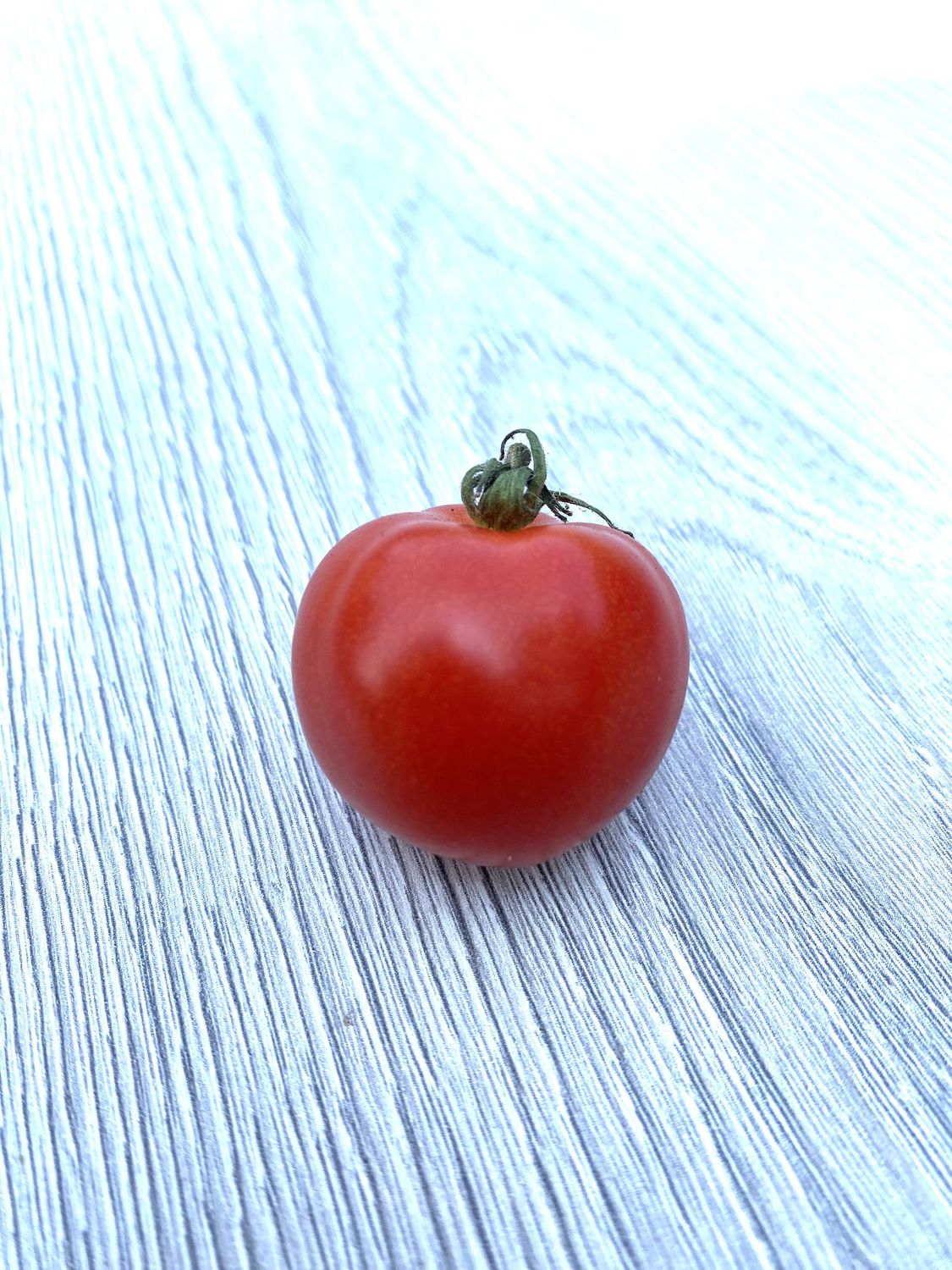 BONSAI (Micro Dwarf)