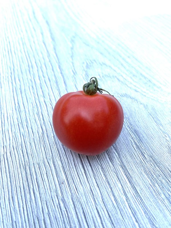 BONSAI (Micro Dwarf)