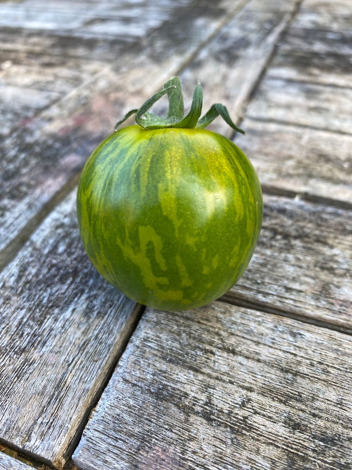 EMERALD FLAME (Micro Dwarf)