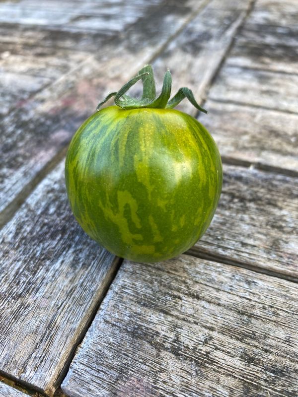 EMERALD FLAME (Micro Dwarf)