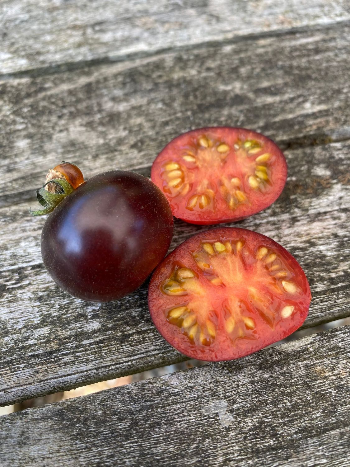 INKSPOT (Micro Dwarf)