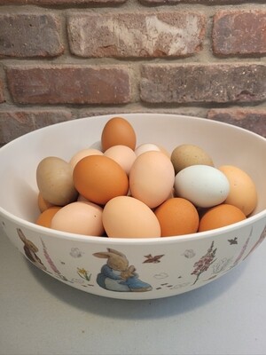 Free Range Farm fresh Large mixed color eggs - Local pickup only
