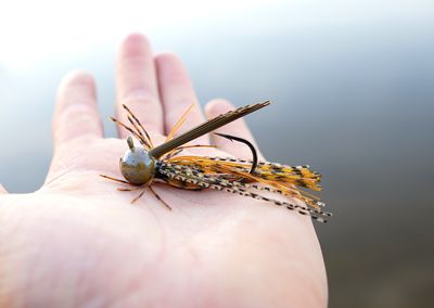 Lil Wizard Finesse Jig 2pk