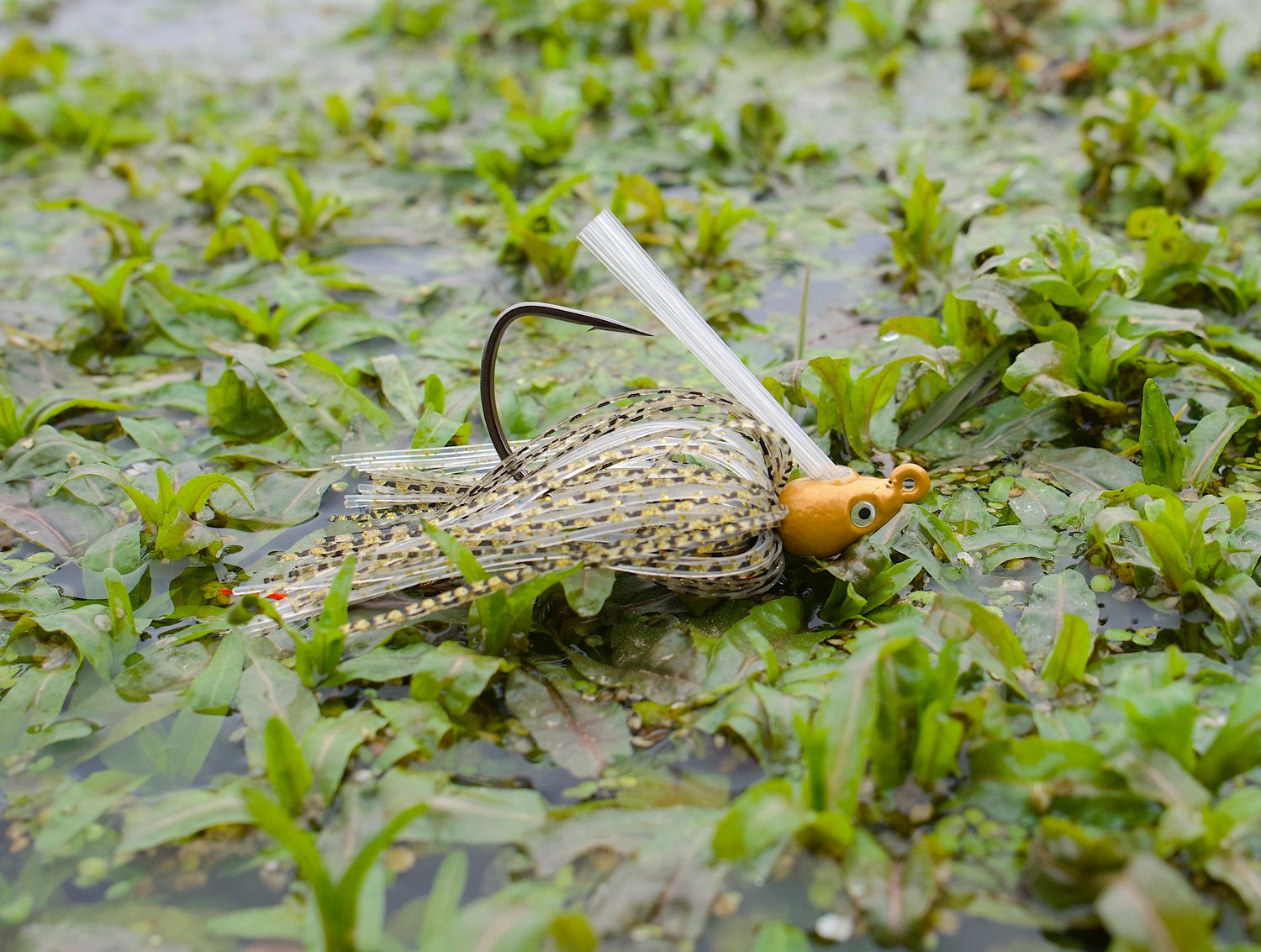 Gaff Swim Jig