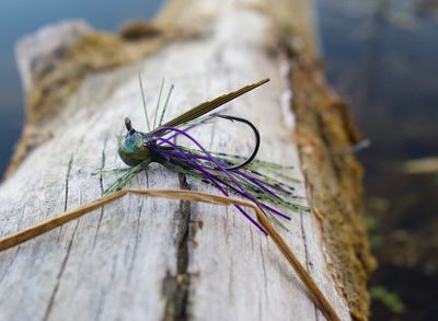 Lil Wizard Finesse Jig 2pk