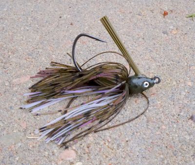 Color 67 Gaff Swim Jig