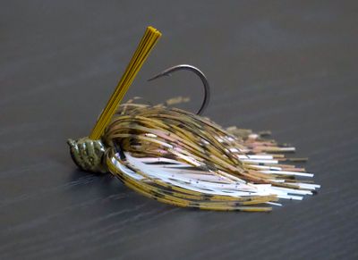 Color 67 Flippin Jig