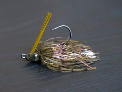 Color 67 Swim Jig