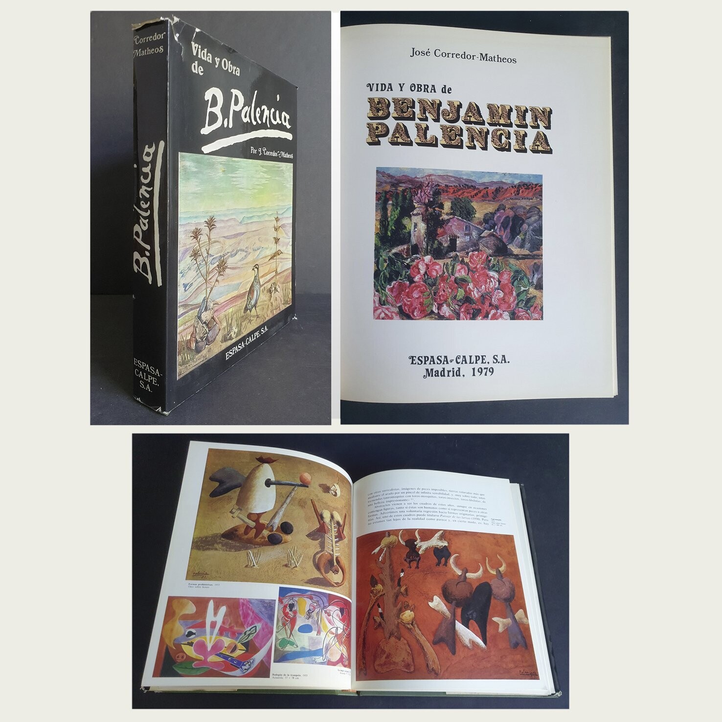 Vida y Obra de Benjamín Palencia. J. Corredor y Matheos.1979.