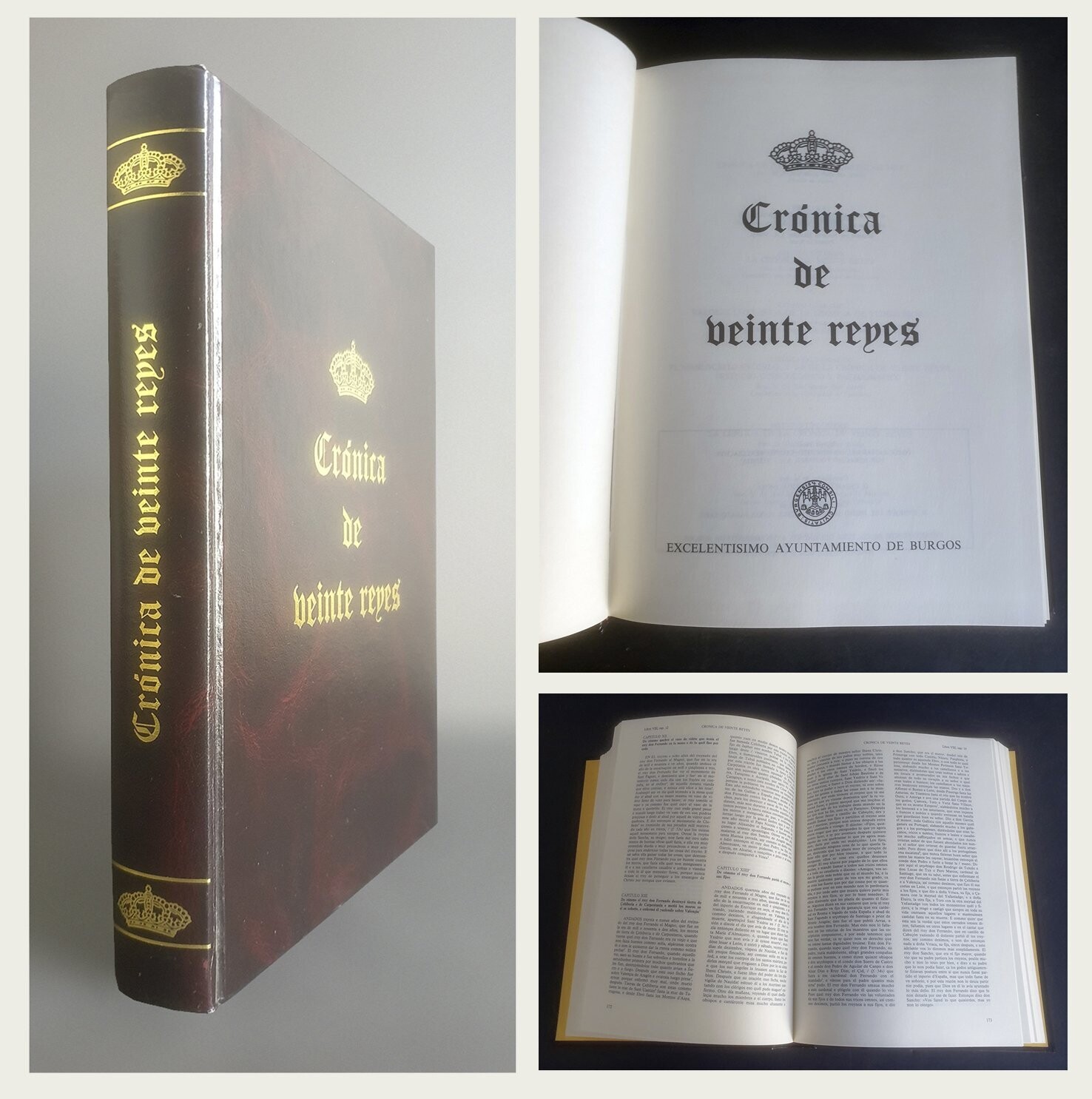 Crónica de veinte Reyes. Excmo. Ayuntamiento de Burgos. 1991