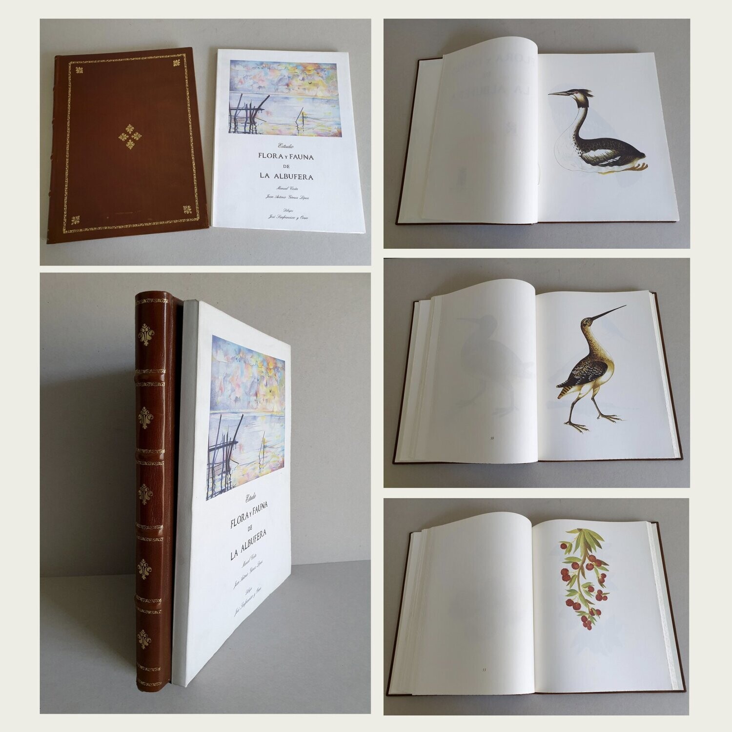 Flora y fauna de la Albufera (Estudio y libro con láminas) Manuel Costa. Juan Antonio Gómez López.