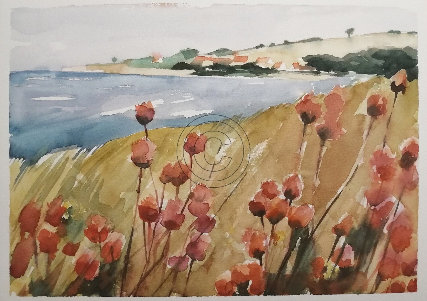Dünenblumen, Original Aquarell Zeichnung 26x36cm