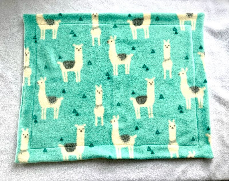 Pipipad Alpaka türkis 40x50