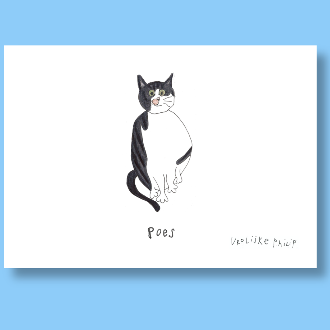 Poes
