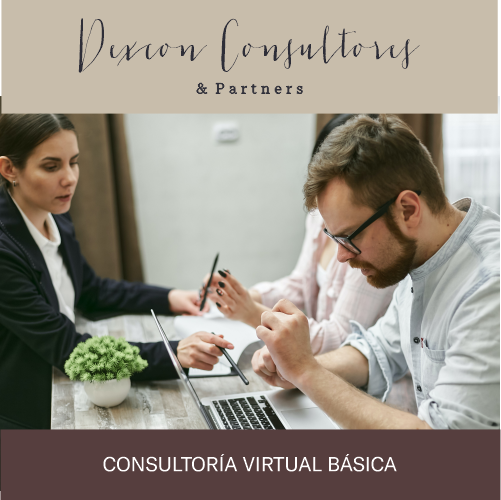 CONSULTORÍA VIRTUAL BÁSICA