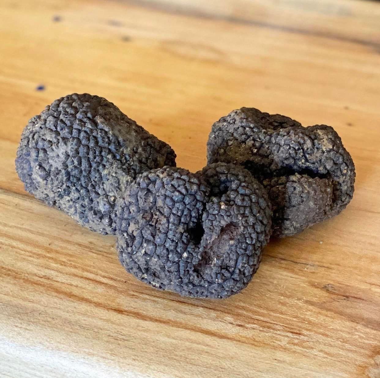 Fresh Black Winter Truffles