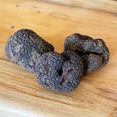 Fresh Black Winter Truffles