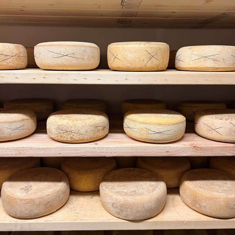Special Small Group Cave Tour with Cheese and Wine Tasting - Led by Julia, Formaggio Kitchen's Owner