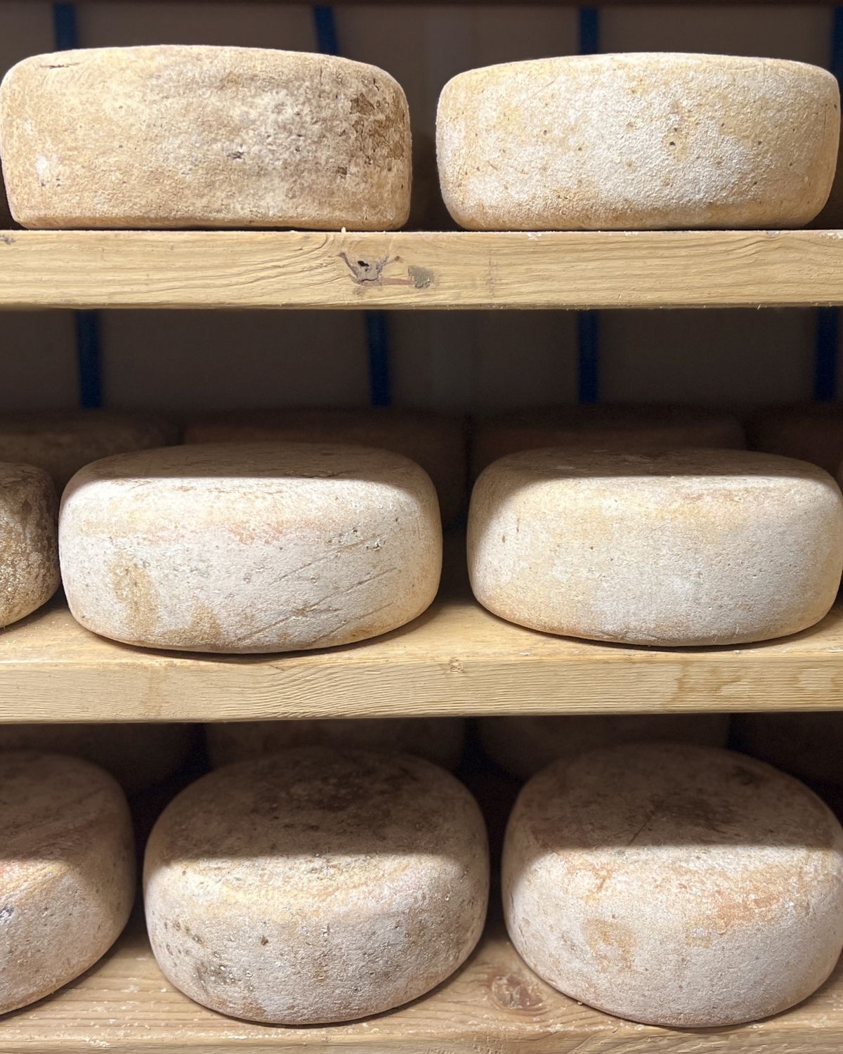 World Central Kitchen Donation - Cheese Cave Tour &amp; Tasting Raffle
