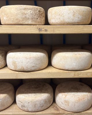 World Central Kitchen Donation - Cheese Cave Tour &amp; Tasting Raffle