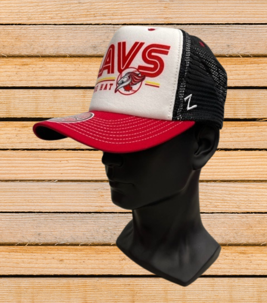 Mod Squad Hat- Zephyr Snapback