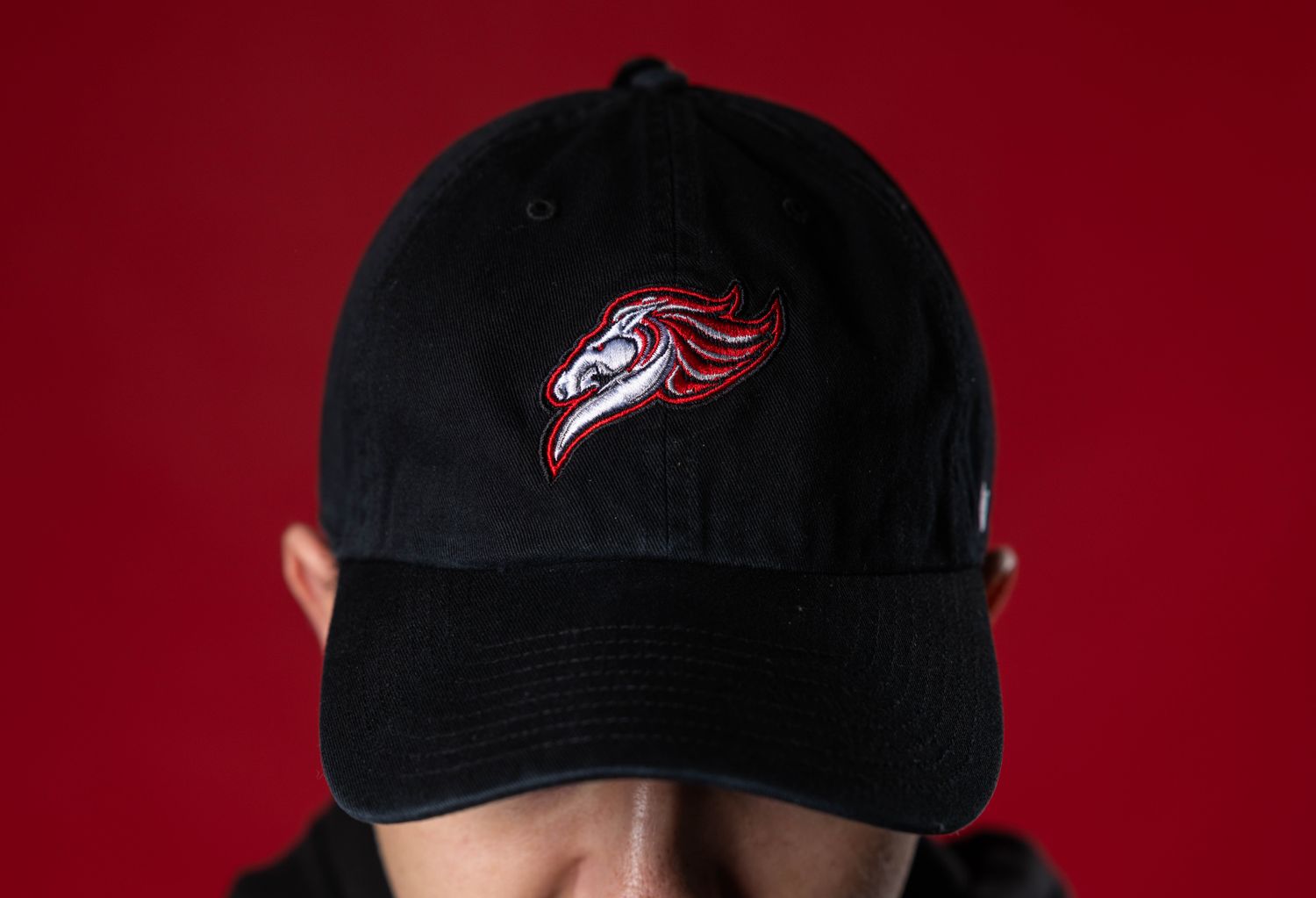&#39;47 Hat- Horsehead