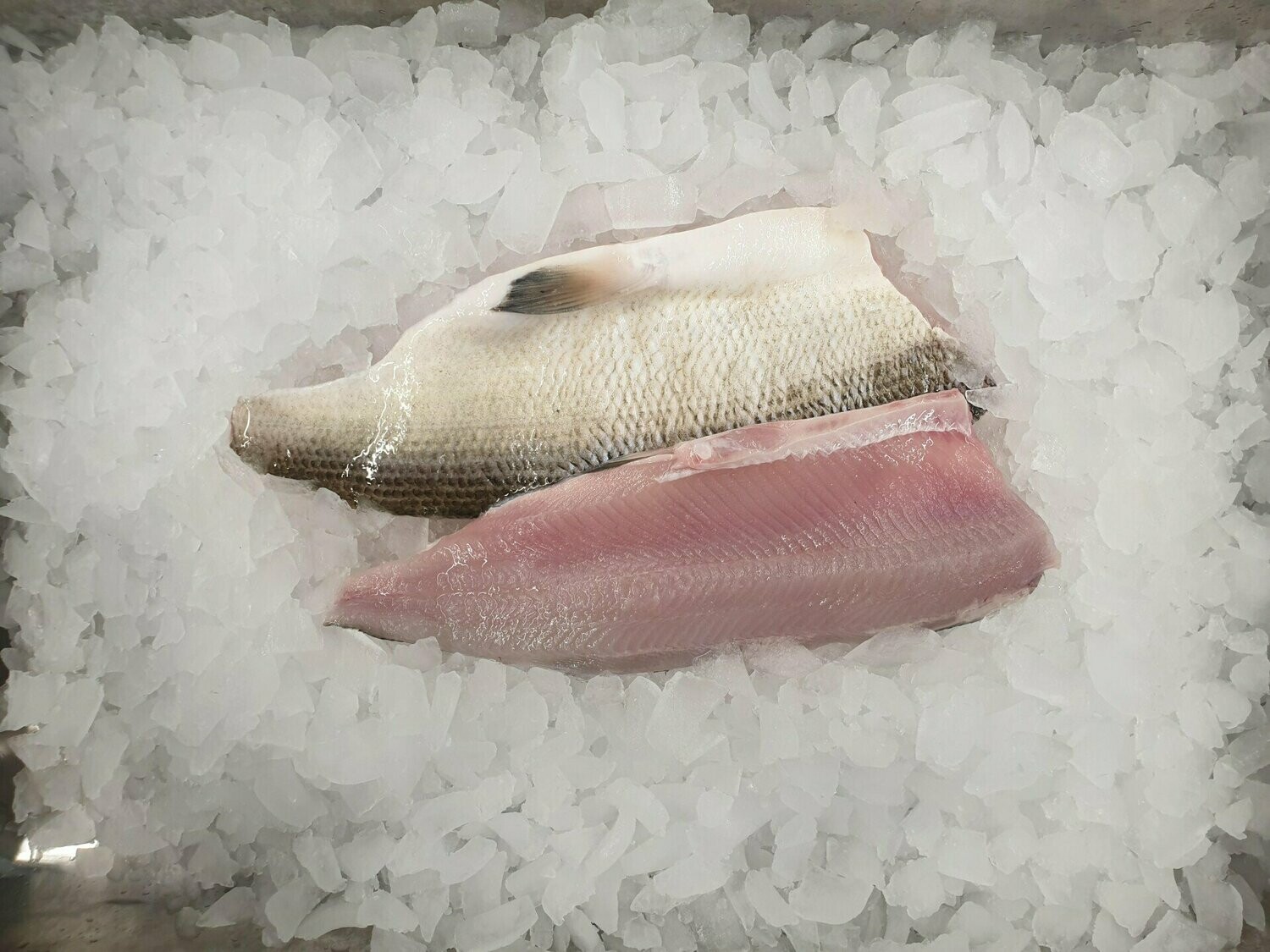 Felchenfilet - frisch - Bodensee, ca. 220 g