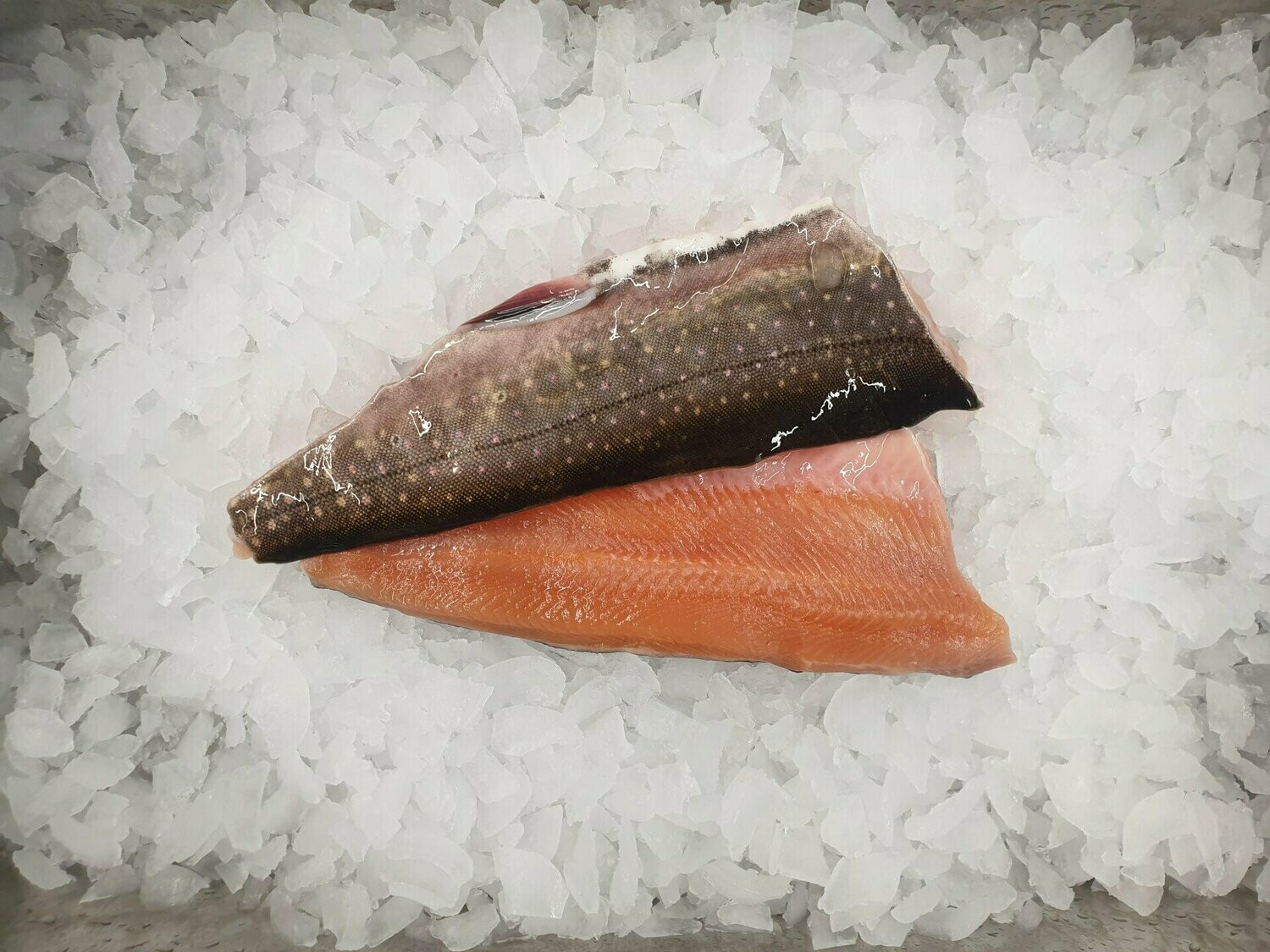Saiblingsfilet - frisch Saiblingsfilet - frisch