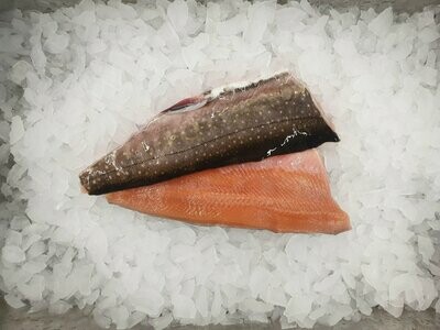 Saiblingsfilet - frisch Saiblingsfilet - frisch