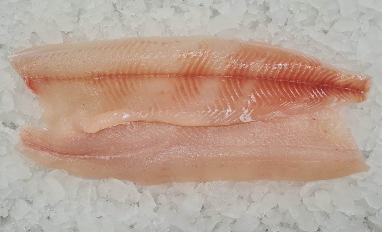Hechtfilet - frisch - Bodensee, ca. 250 g Hechtfilet - frisch - Bodensee, ca. 250 g