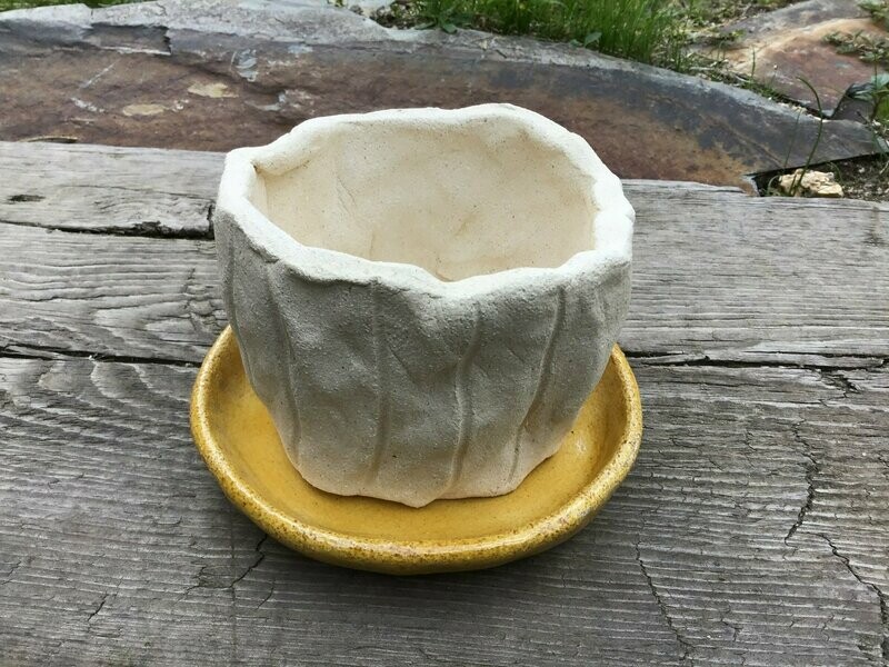 Maceta blanca.  13 cm x 8 cm.