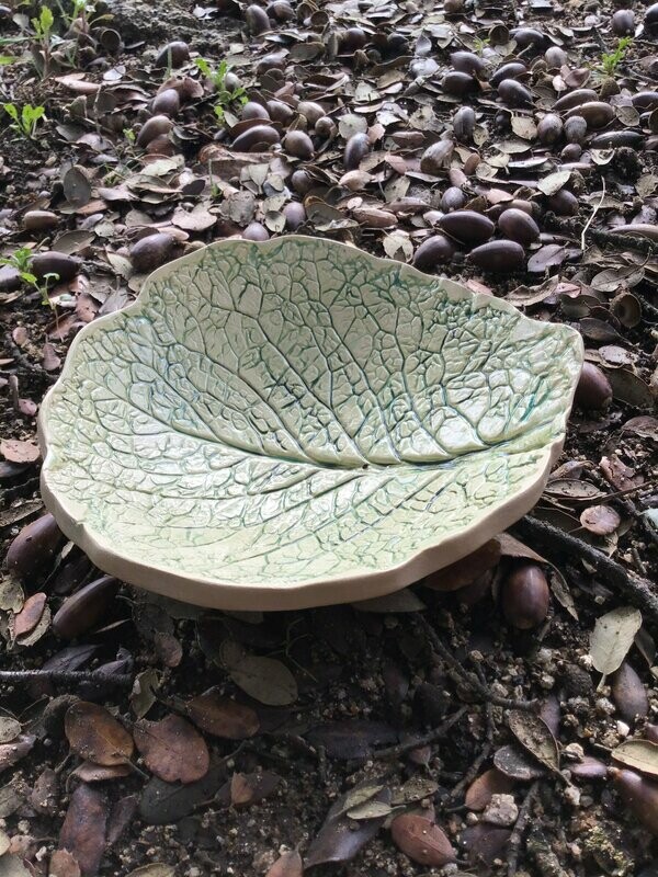 Hoja de Col verde.  20 cm.