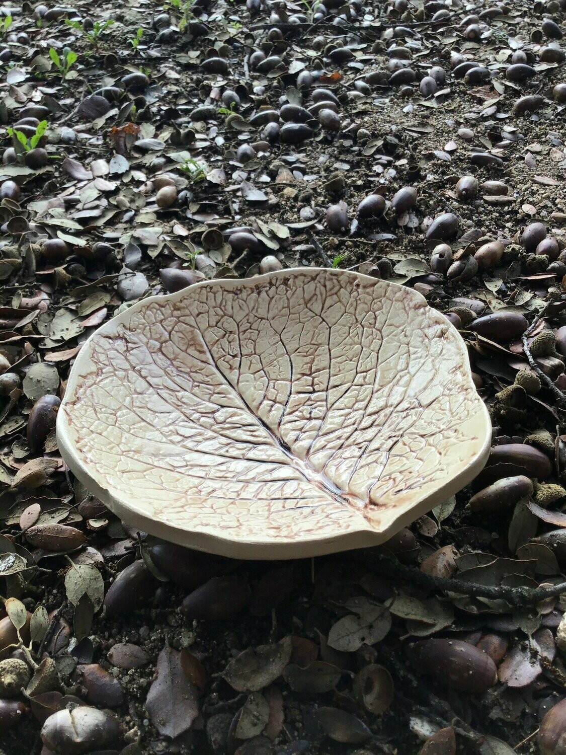 Hoja de Col Marrón 20 cm.