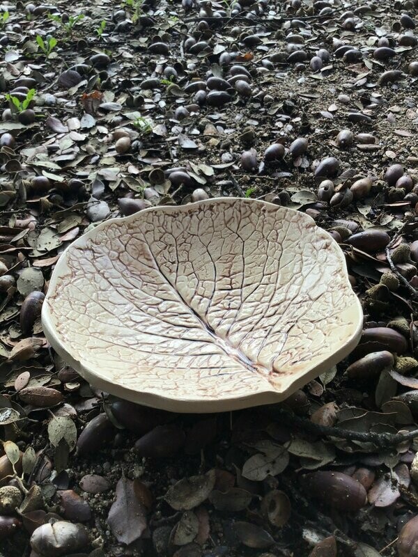 Hoja de Col Marrón 20 cm.