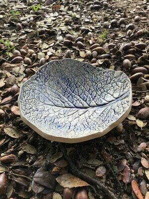 Hoja de Col Azul