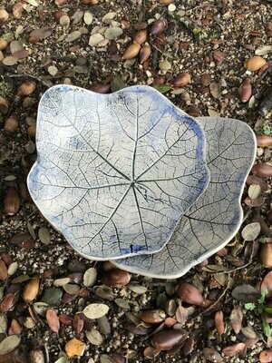 Hoja de Malva Azul